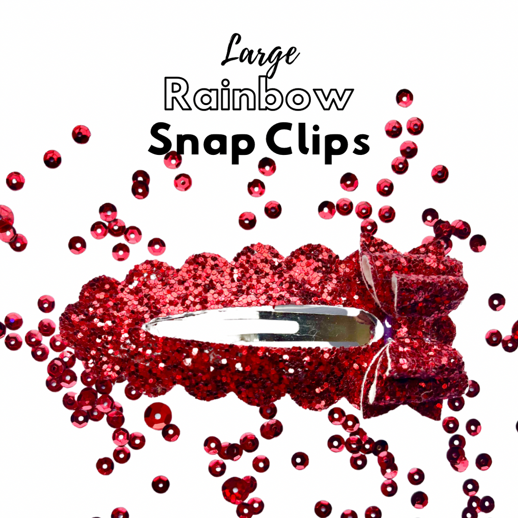 Summer Large Rainbow snap clips
