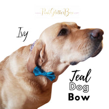 Load image into Gallery viewer, Solid colour dog bow ties
